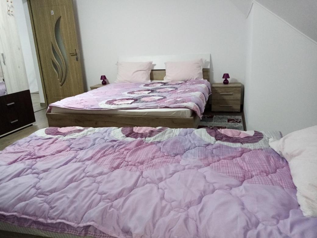 Tomnatic  Agropensiunea Bella מראה חיצוני תמונה